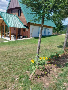 House in forest